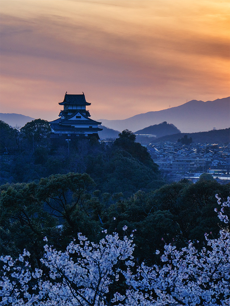 夕暮れの犬山城