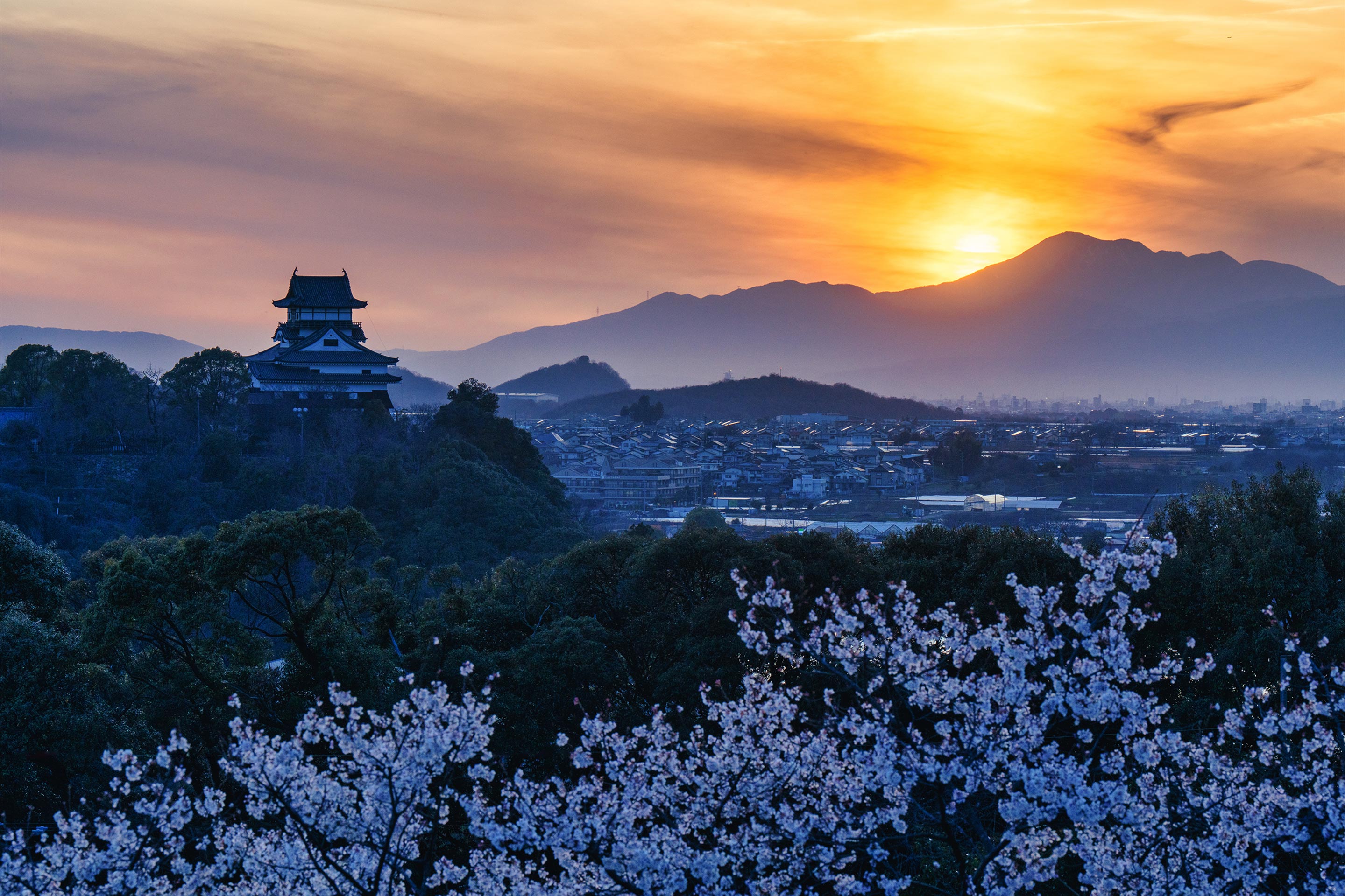 犬山城